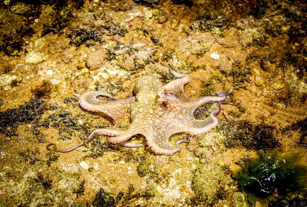 Caboco Sonhado Passeios Nauticos E Pousada Hotel Mundau Exterior photo